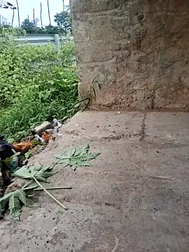 DesiVideo00 online show from November 2025 08:28:01 AM