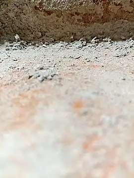 Snapshot of Rajni_chauhan chatting on November 2025 08:11:02 PM Rajni chauhan online show from November 2025 08:11:02 PM