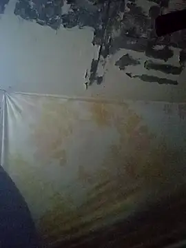 Cogelonregio online show from October 2025 11:41:02 PM