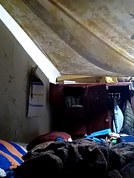 Cogelonregio online show from February 2026 05:58:02 AM