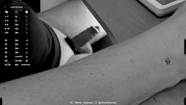 Mister Majestic online show from December 2025 02:23:01 PM