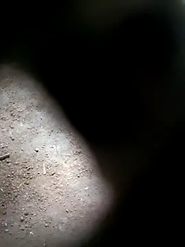 Snapshot of M-MAYA chatting on November 2025 06:04:02 AM M-MAYA online show from November 2025 06:04:02 AM