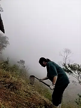 Sinhlinh2020 online show from March 2026 02:48:01 AM