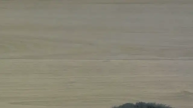 KimWilmes online show from December 2025 04:40:02 AM