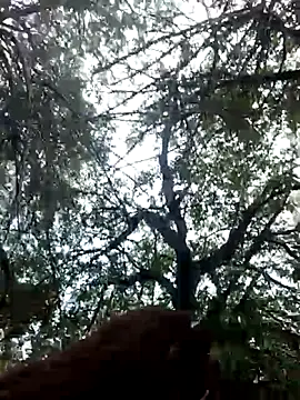 Labellasex online show from December 2025 07:10:01 PM