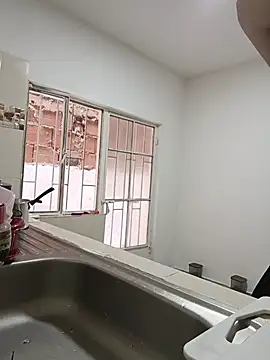 Snapshot of Ladyswap chatting on November 2025 07:49:02 PM Ladyswap online show from November 2025 07:49:02 PM