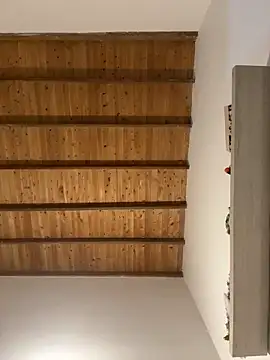 valeriahornier online show from March 2026 11:23:02 PM