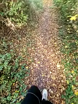 bbyxklaus online show from November 2025 10:57:02 AM