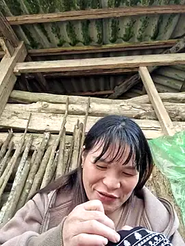 Snapshot of chipu06 chatting on November 2025 03:37:02 AM chipu06 online show from November 2025 03:37:02 AM