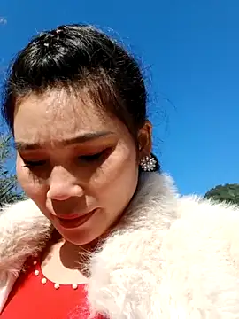 Bear bear0 online show from November 2025 02:14:01 AM