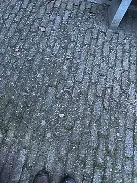 Snapshot of bart98geil chatting on February 2026 06:54:01 AM bart98geil online show from February 2026 06:54:01 AM