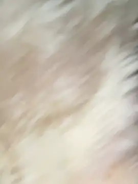 Irin jo online show from February 2026 12:42:01 AM