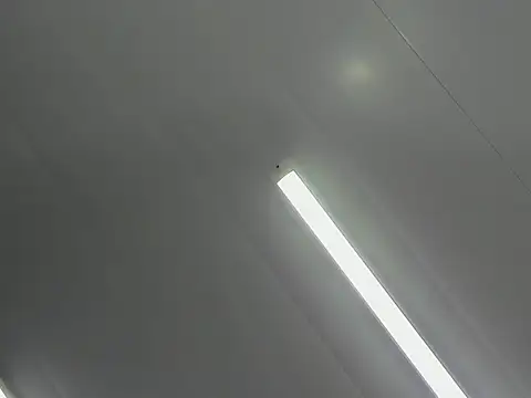 Gianna Johnson online show from November 2025 03:28:01 AM