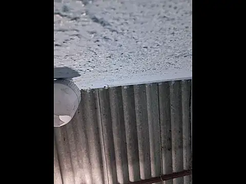 666Daemon666 online show from April 2026 08:08:01 AM