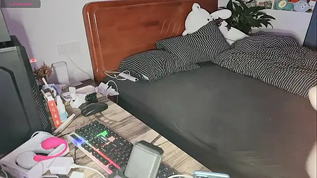 xiner-6666 online show from October 2025 02:34:01 PM