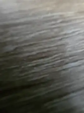 vivodan online show from April 2026 03:09:01 PM