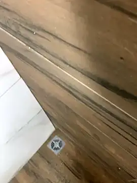 Snapshot of bfelipedasilva chatting on October 2025 03:25:01 AM bfelipedasilva online show from October 2025 03:25:01 AM