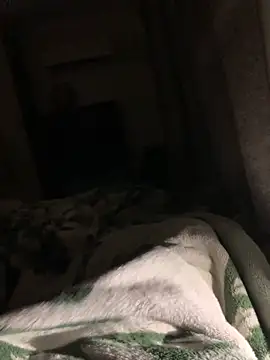 Snapshot of bfelipedasilva chatting on November 2025 02:12:01 AM bfelipedasilva online show from November 2025 02:12:01 AM