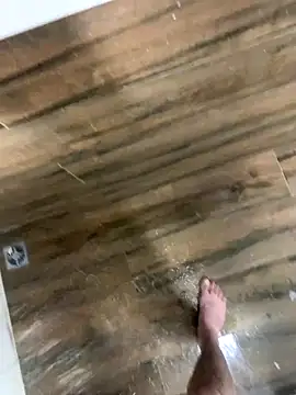 Snapshot of bfelipedasilva chatting on December 2025 09:56:02 PM bfelipedasilva online show from December 2025 09:56:02 PM