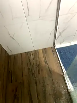 Snapshot of bfelipedasilva chatting on December 2025 09:22:02 PM bfelipedasilva online show from December 2025 09:22:02 PM