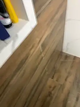 Snapshot of bfelipedasilva chatting on December 2025 11:50:01 AM bfelipedasilva online show from December 2025 11:50:01 AM