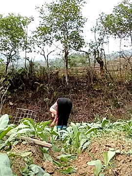 Noelle-e online show from April 2026 10:26:01 AM