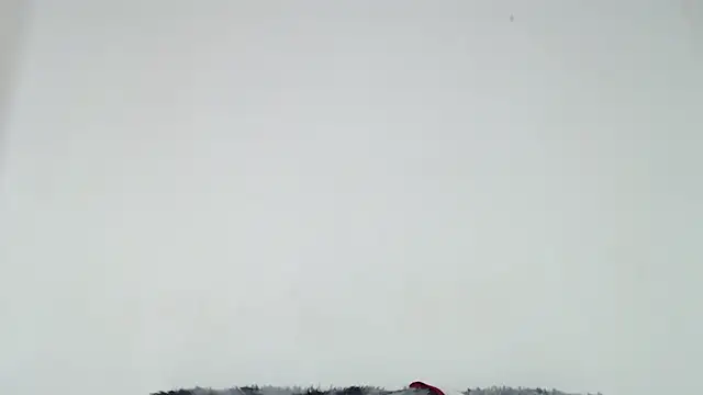 Snapshot of Mia_fox29 chatting on October 2025 01:01:02 PM Mia fox29 online show from October 2025 01:01:02 PM