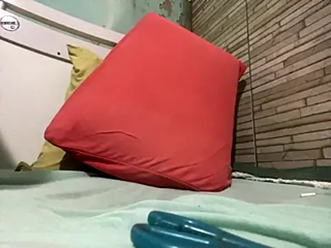 Snapshot of _DignoDePutaria_ chatting on October 2025 04:03:02 AM DignoDePutaria online show from October 2025 04:03:02 AM