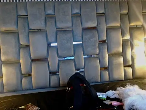 Memi xxx online show from November 2025 03:50:01 AM