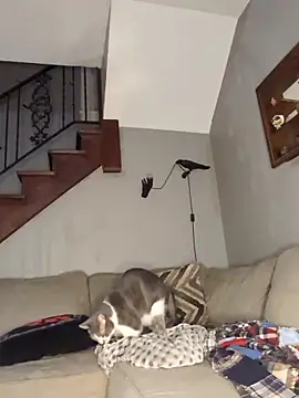 mattiethebaddieee online show from March 2026 02:38:02 AM