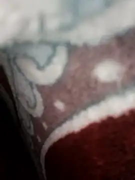 bigtelugubhama online show from November 2025 11:09:02 AM