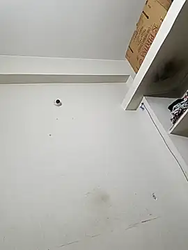 bigtelugubhama online show from December 2025 11:53:01 PM