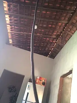 Ralf2011 online show from December 2025 05:54:02 PM