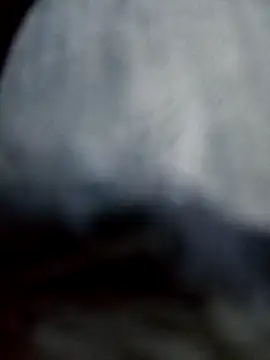 Snapshot of negro2828 chatting on October 2025 10:58:01 PM negro2828 online show from October 2025 10:58:01 PM