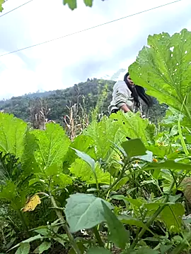 heodat-sexx online show from December 2025 09:48:01 AM