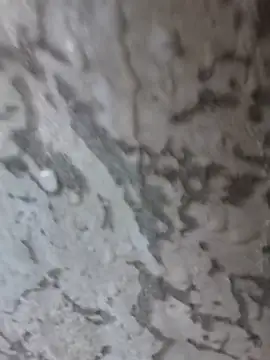 Snapshot of 3zekie1 chatting on October 2025 02:20:01 PM 3zekie1 online show from October 2025 02:20:01 PM