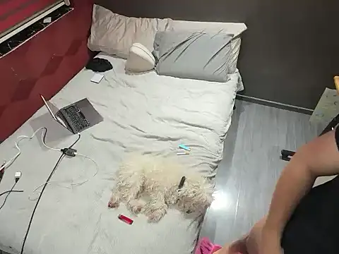 Snapshot of Bbydaddy_0 chatting on January 2026 09:57:02 AM Bbydaddy 0 online show from January 2026 09:57:02 AM