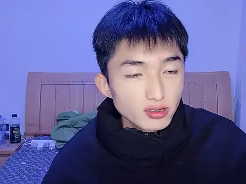 N228 online show from November 2025 05:12:02 PM