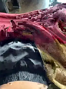 Snapshot of ankitmishra0527 chatting on November 2025 11:45:01 AM ankitmishra0527 online show from November 2025 11:45:01 AM