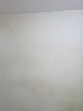 negramenta online show from January 2026 11:48:01 AM