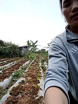 min nyny online show from December 2025 08:34:01 AM