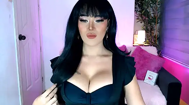 transSTARprincess online show from December 2024 06:39:01 PM
