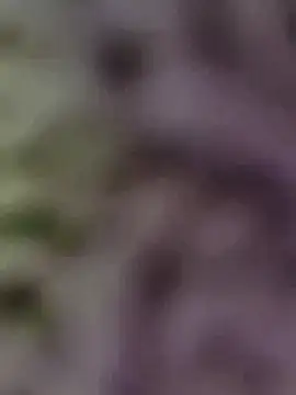 Hot-Sana2 online show from January 2026 01:49:02 PM