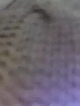 Hot-Sana2 online show from February 2026 02:25:02 PM