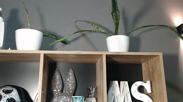 mickystrumia23 online show from January 2026 12:03:02 AM