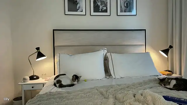 Itslillybloom online show from November 2025 04:23:02 AM