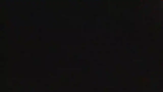 laikly online show from February 2026 03:39:01 AM