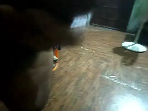 BdTinyDick online show from November 2025 06:19:02 PM