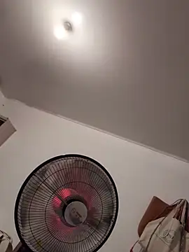 Snapshot of RebelAura chatting on December 2025 09:22:02 PM RebelAura online show from December 2025 09:22:02 PM