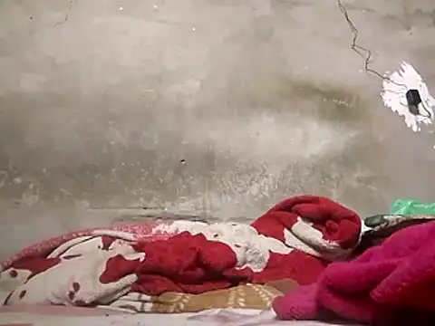 Snapshot of akram306 chatting on November 2025 12:49:01 AM akram306 online show from November 2025 12:49:01 AM